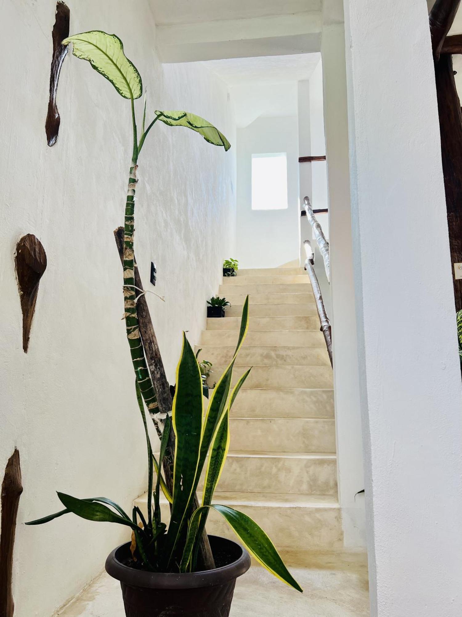 Kin Studios Holbox Exterior foto