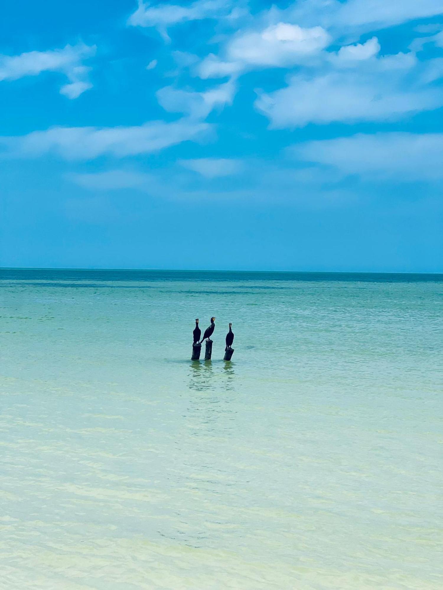 Kin Studios Holbox Exterior foto